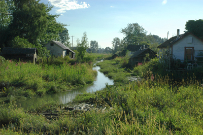 Finn Slough In Richmond